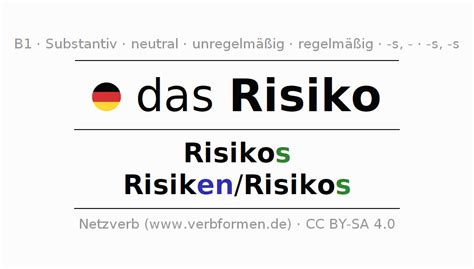 risiko plural|explain what a risk is.